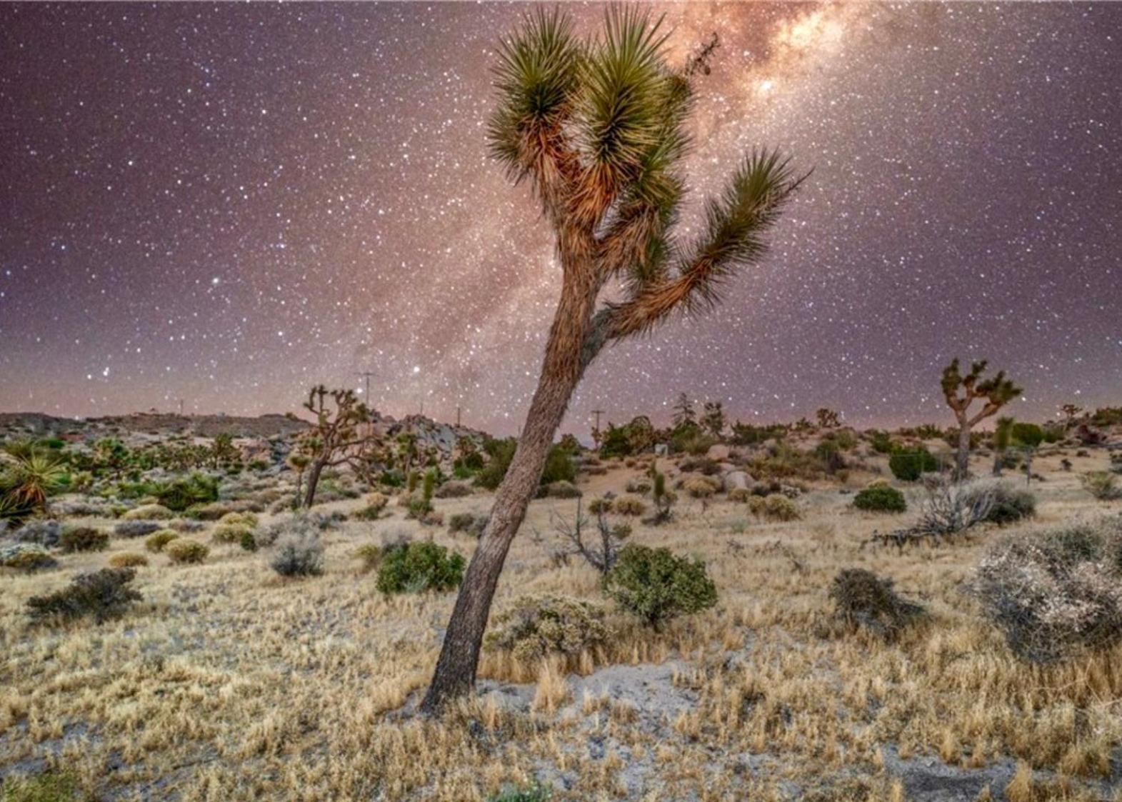 Twin Palms Desert Getaway - Jacuzzi, Fire Pit, Meditation Room & More Джошуа Три Екстериор снимка